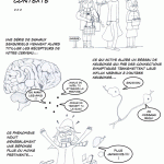 plasticite_neuronale1