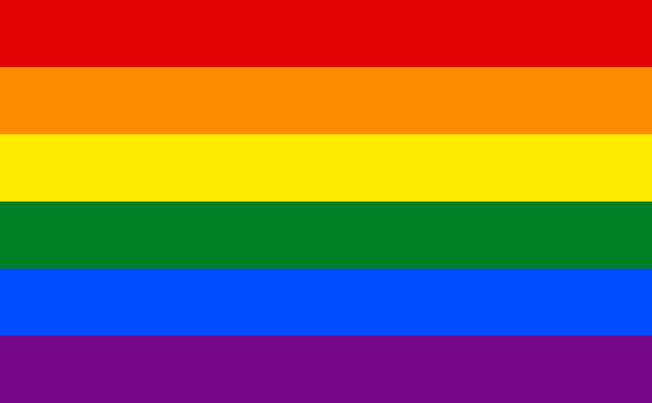 louisiana gay pride flags