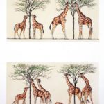 Zoologie-girafes-allongement-progressif-leur-Dessin-pour-illustrer-theorie-evoution-especes-Jean-Baptiste-Lamarck-1744-1829-Charles-Darwin-1809-1882_0_730_914